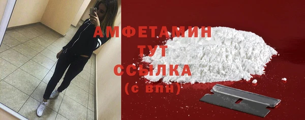 крисы Надым