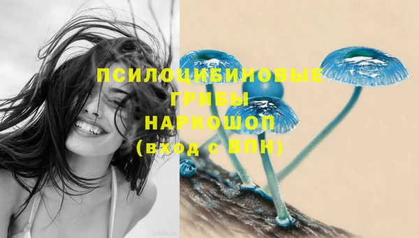 бутират Апатиты