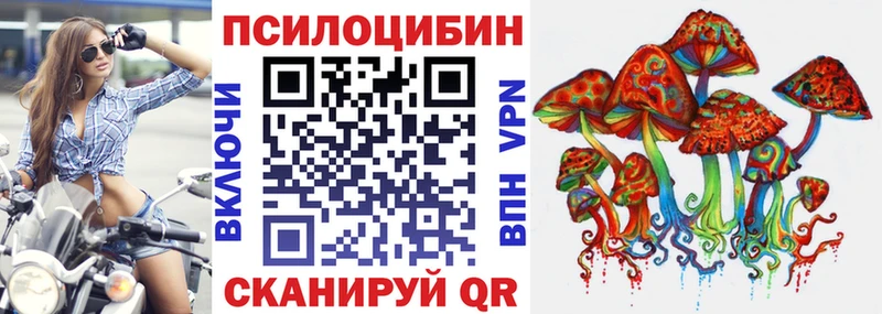 кракен tor  нарко площадка наркотические препараты  Псилоцибиновые грибы Psilocybe  Вилючинск 