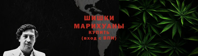 Шишки марихуана планчик  Вилючинск 